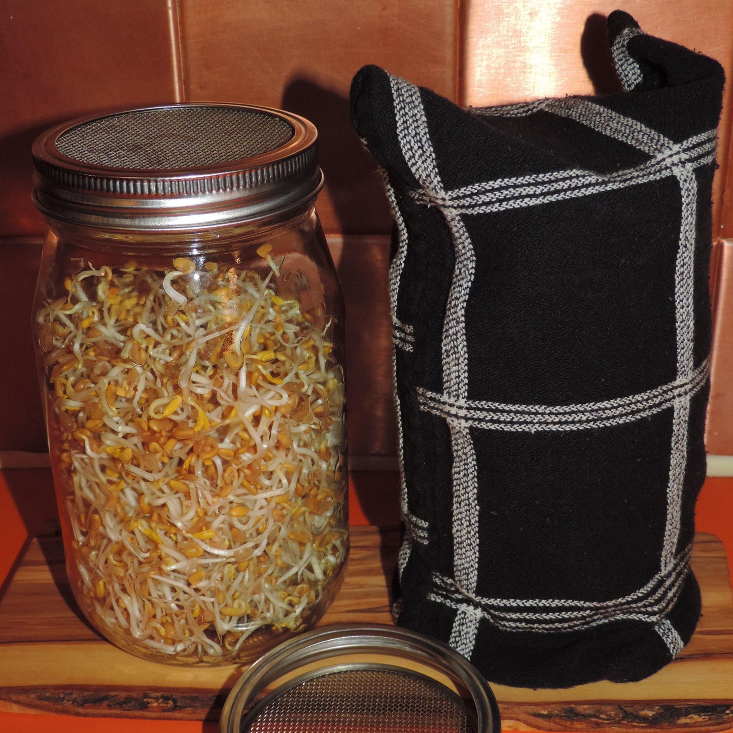 Sprouting KitS - Earth Warrior Lifestyle