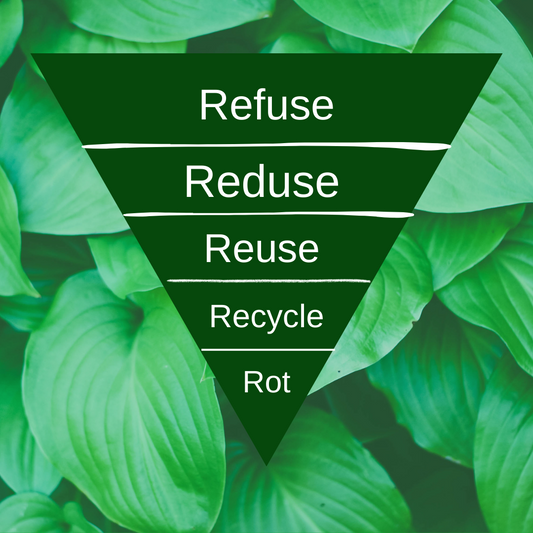 A Deep Dive into the 5 R's for a Greener Tomorrow
