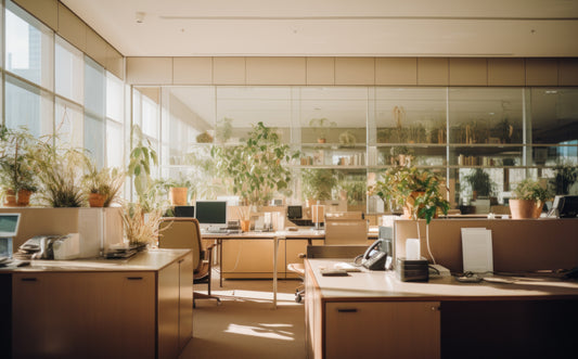 10 Tips to Make Your Office More Environmentally Friendly