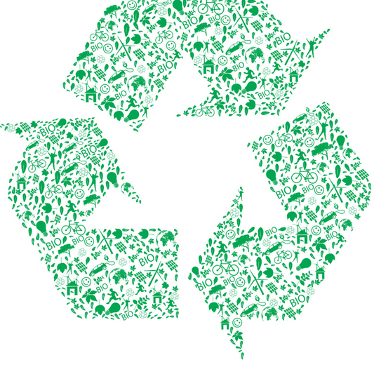 Beyond Recycling: The Limitations and Challenges of Relying Solely on Recycling for Waste Reduction