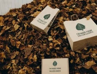 Turning Over a New Leaf: How Releaf Paper is Revolutionizing Waste and Inspiring a Greener Future