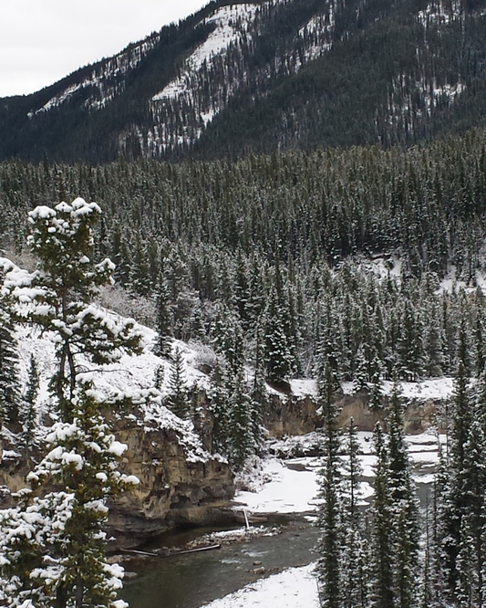 Protecting Alberta's Eastern Slopes: The Places That Shaped Me