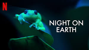 10 Documentaries to Watch to Reconnect with Nature