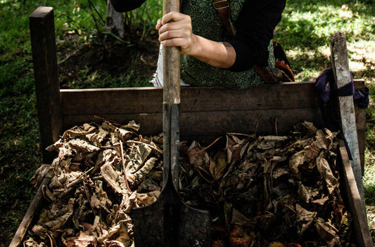 Composting in Cooler Weather: Fall Tips to Keep Your Bin Thriving