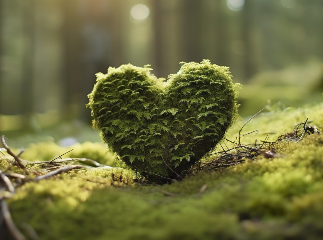 Celebrate Love and the Planet: A Guide to an Eco-Friendly Valentine's Day