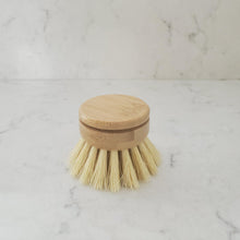 Load image into Gallery viewer, Dish Scrubber - Replacement Head  for long handle brush - Earth Warrior Lifestyle