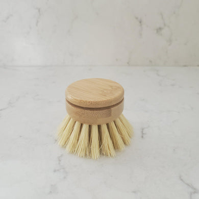 Dish Scrubber - Replacement Head  for long handle brush - Earth Warrior Lifestyle