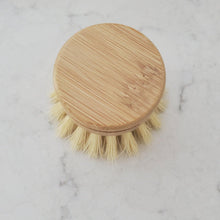 Load image into Gallery viewer, Dish Scrubber - Replacement Head  for long handle brush - Earth Warrior Lifestyle