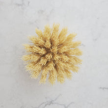Load image into Gallery viewer, Dish Scrubber - Replacement Head  for long handle brush - Earth Warrior Lifestyle