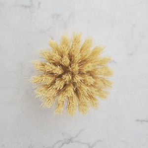 Dish Scrubber - Replacement Head  for long handle brush - Earth Warrior Lifestyle